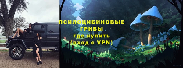 бутират Алексин