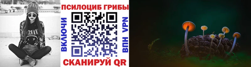 Галлюциногенные грибы Cubensis как найти закладки Бабаево